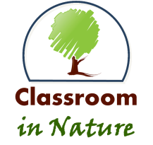 Classroom In Nature